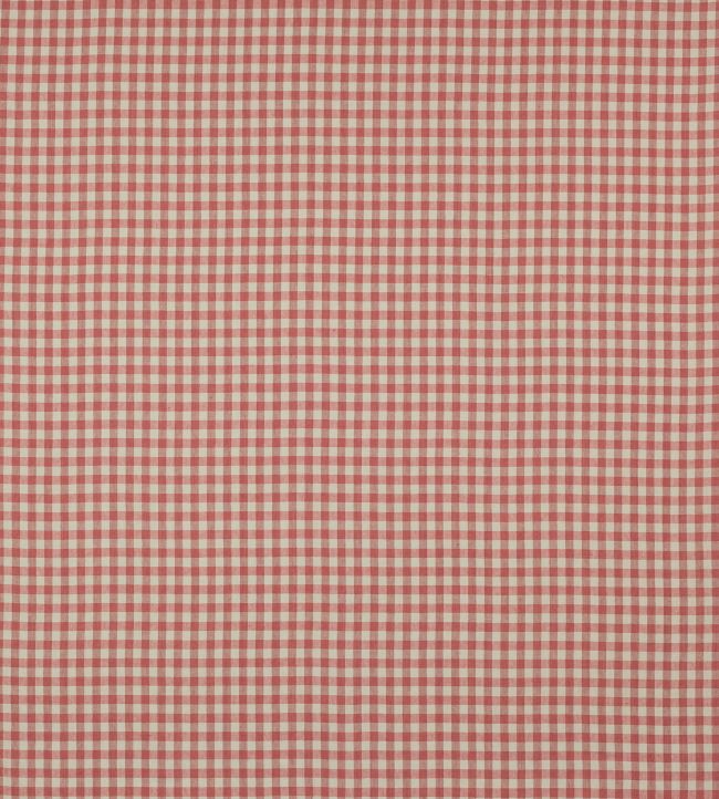 Minack Check Fabric by Colefax and Fowler Brick