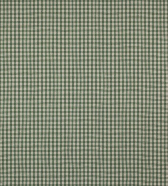 Minack Check Fabric by Colefax and Fowler Green