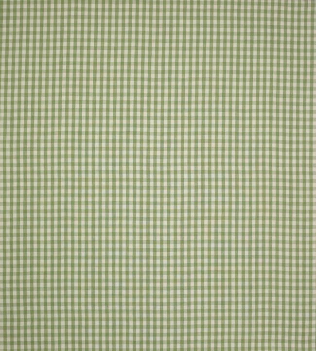 Minack Check Fabric by Colefax and Fowler Leaf