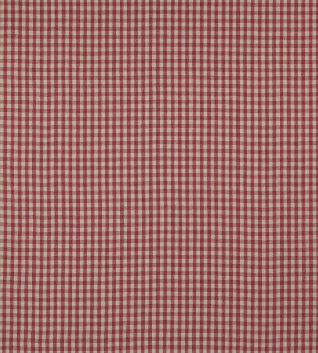 Minack Check Fabric by Colefax and Fowler Pink