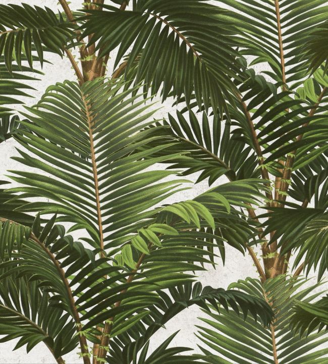 Jardin Tropical Wallpaper by MINDTHEGAP Green