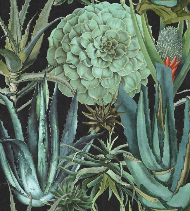 Succulentus Wallpaper by MINDTHEGAP Anthracite