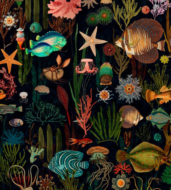 Oceania Wallpaper by MINDTHEGAP Black, Blue, Green, Red