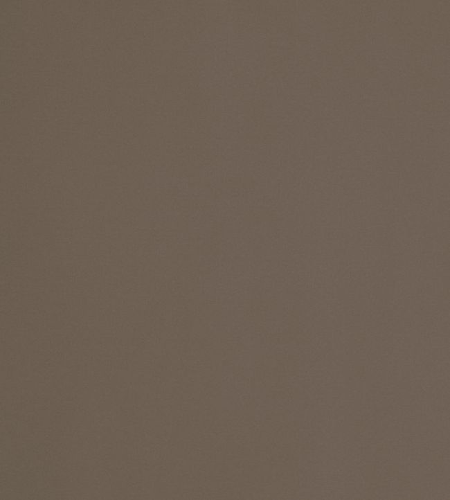 Mirasol Velvet Fabric by Thibaut Cafe