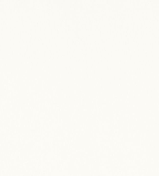Mirasol Velvet Fabric by Thibaut Ivory