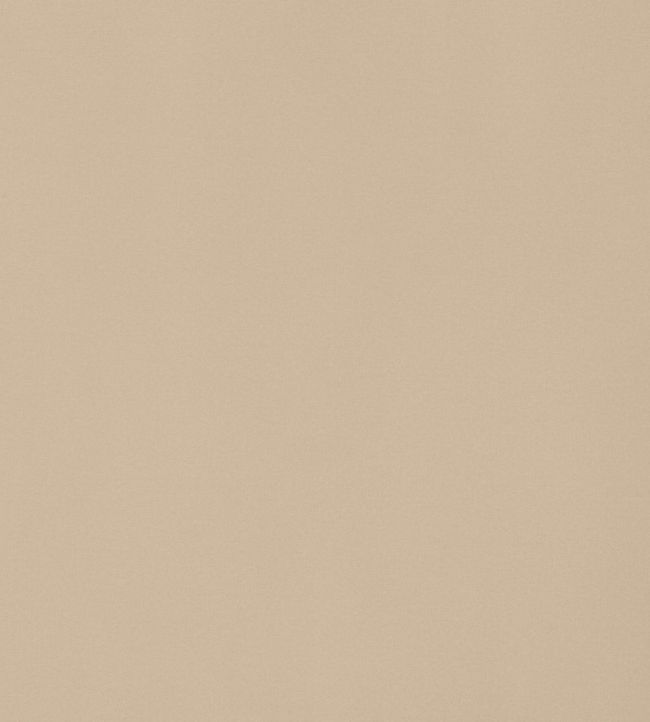 Mirasol Velvet Fabric by Thibaut Sand