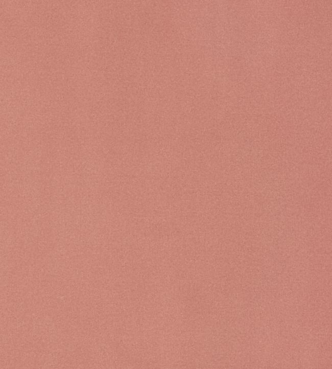Mirasol Velvet Fabric by Thibaut Spice