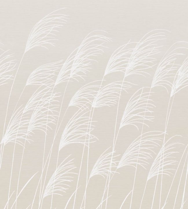 Miscanthus Mural by Harlequin Parchment/Frost