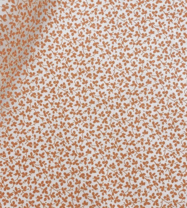 Miss Polly Fabric by Ian Sanderson Carrot