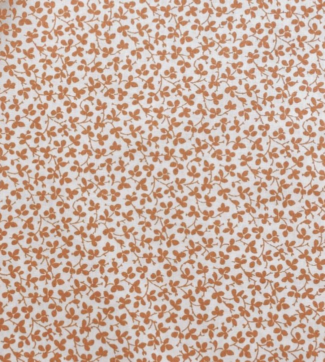 Miss Polly Fabric by Ian Sanderson Carrot