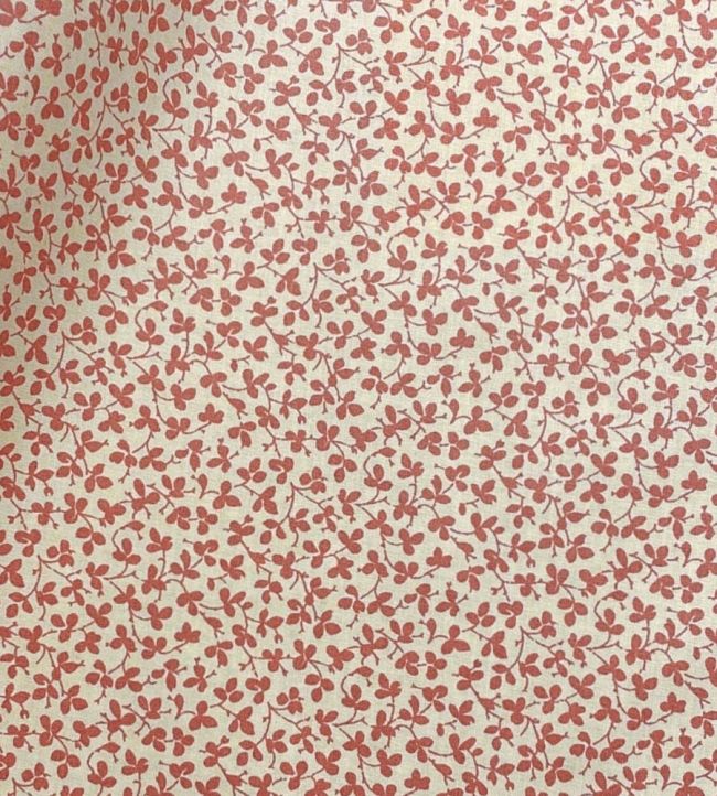 Miss Polly Fabric by Ian Sanderson Persimmon