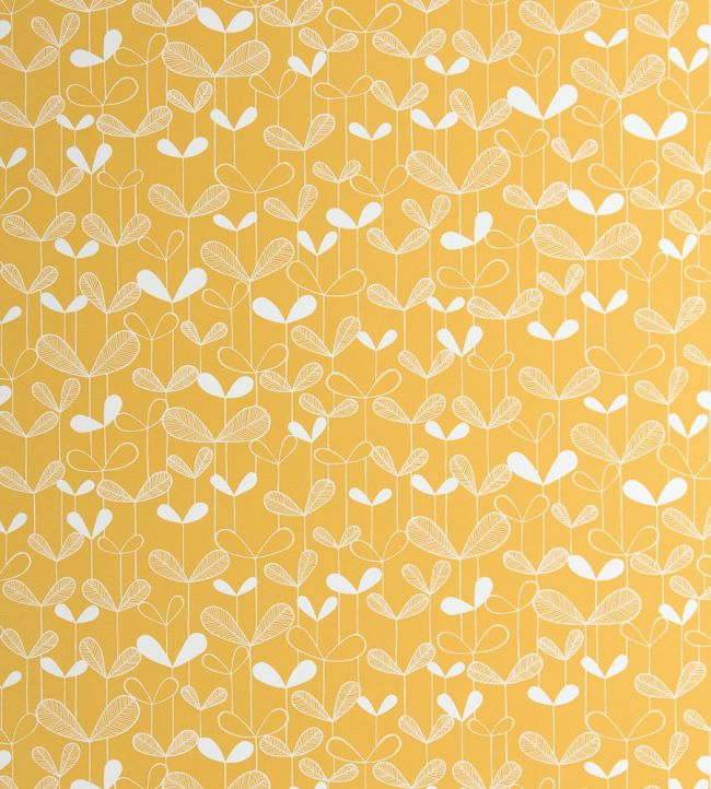 Saplings Wallpaper by MissPrint Sunflower