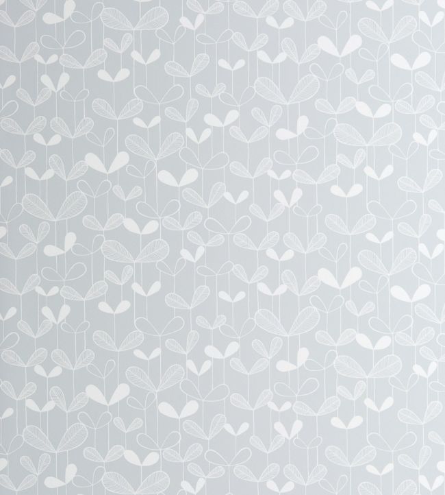 Saplings Wallpaper by MissPrint Cloud Grey