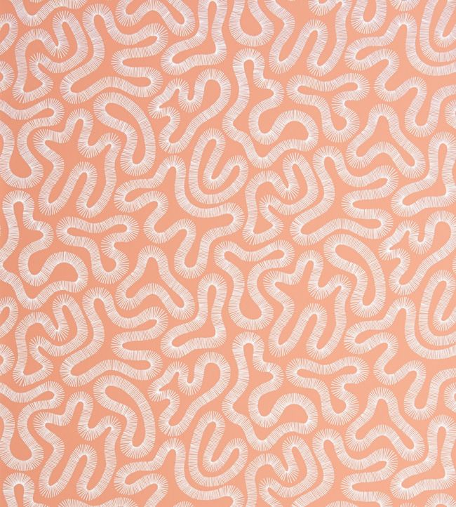 Coral Wallpaper by MissPrint Peach Blush