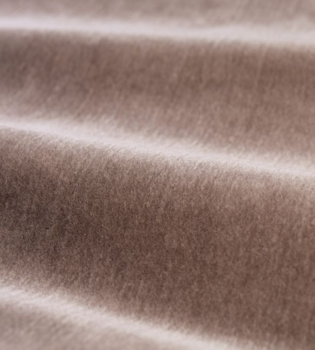 Mohair Fabric by Zoffany Mink