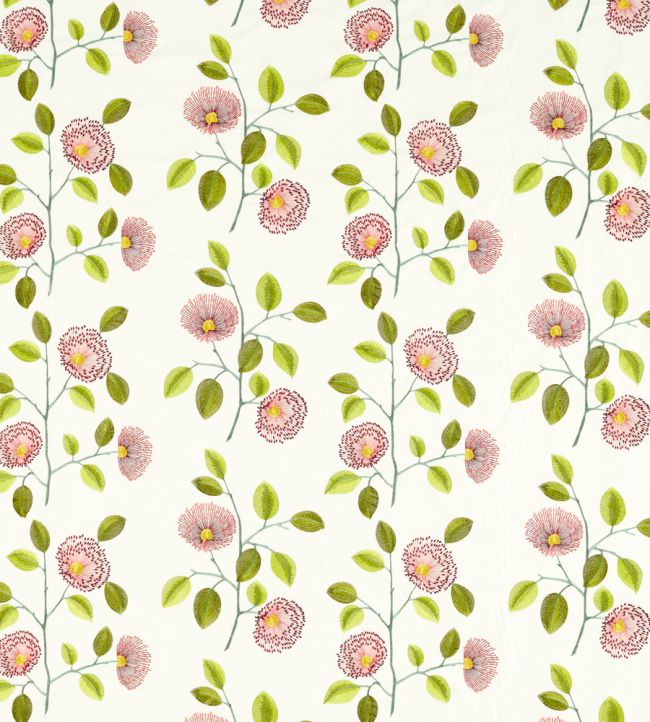 Monique Fabric by Clarke & Clarke Summer