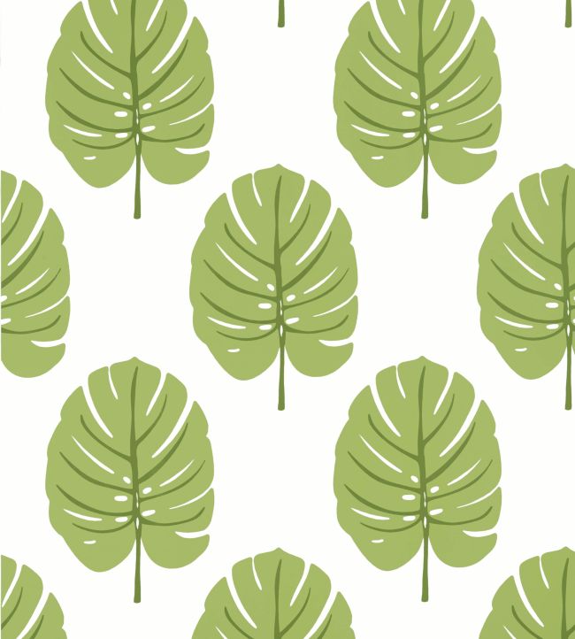Monstera Wallpaper by Thibaut Apple Green