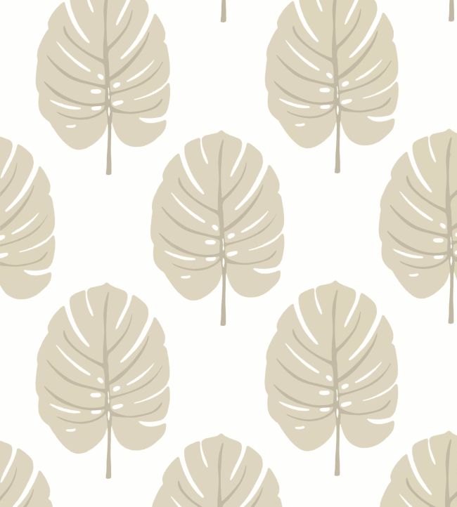 Monstera Wallpaper by Thibaut Beige