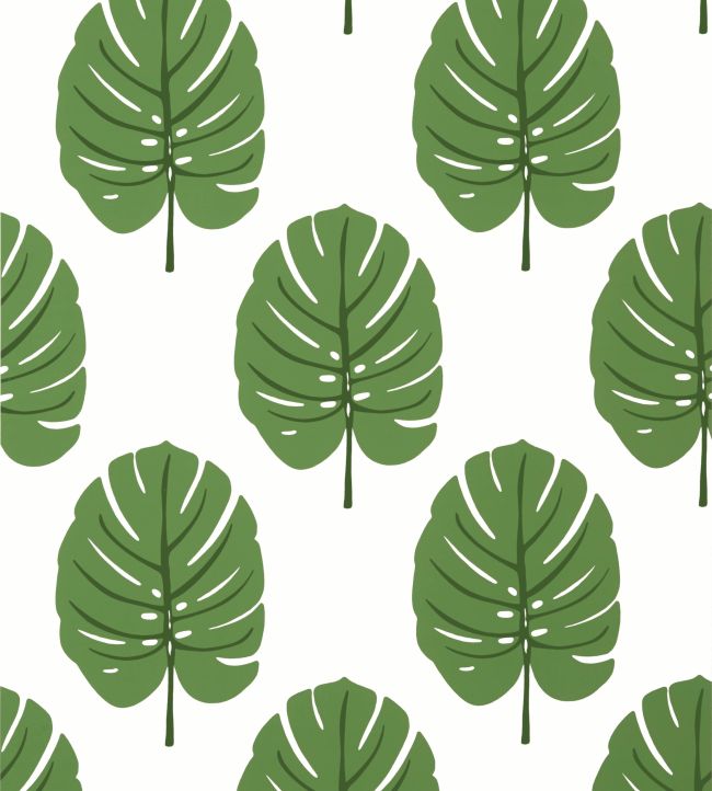 Monstera Wallpaper by Thibaut Green