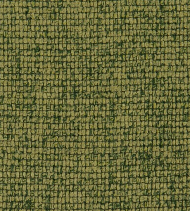 Montague Fabric by Designers Guild Grass