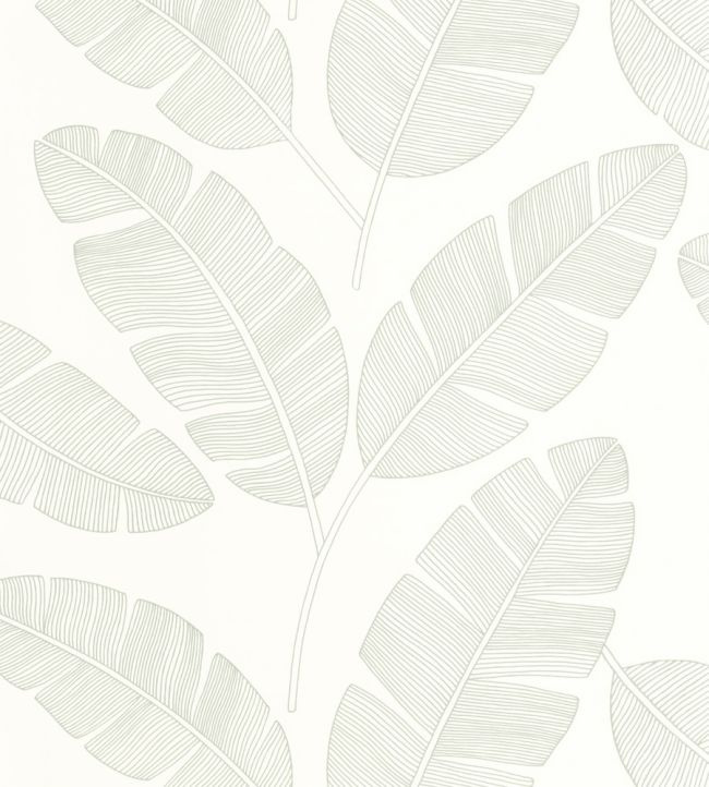 Moonlight Banana Tree Wallpaper by Caselio Vert Amande