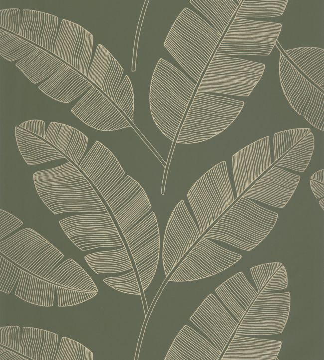 Moonlight Banana Tree Wallpaper by Caselio Vert Kaki