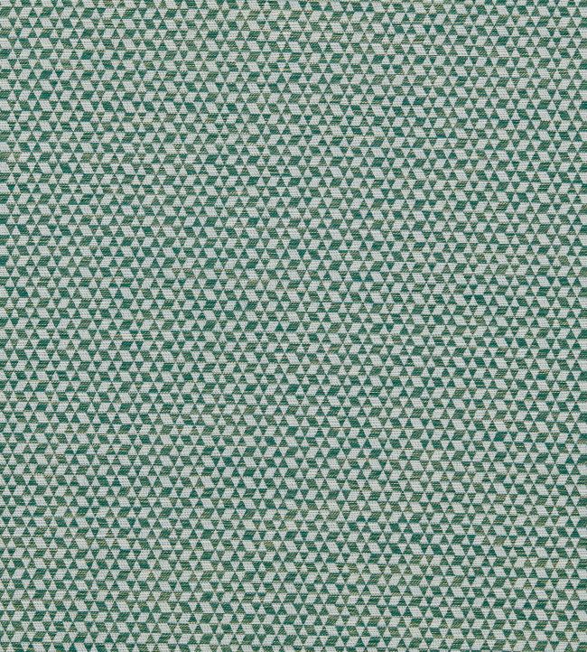 Morro Fabric by Clarke & Clarke Forest