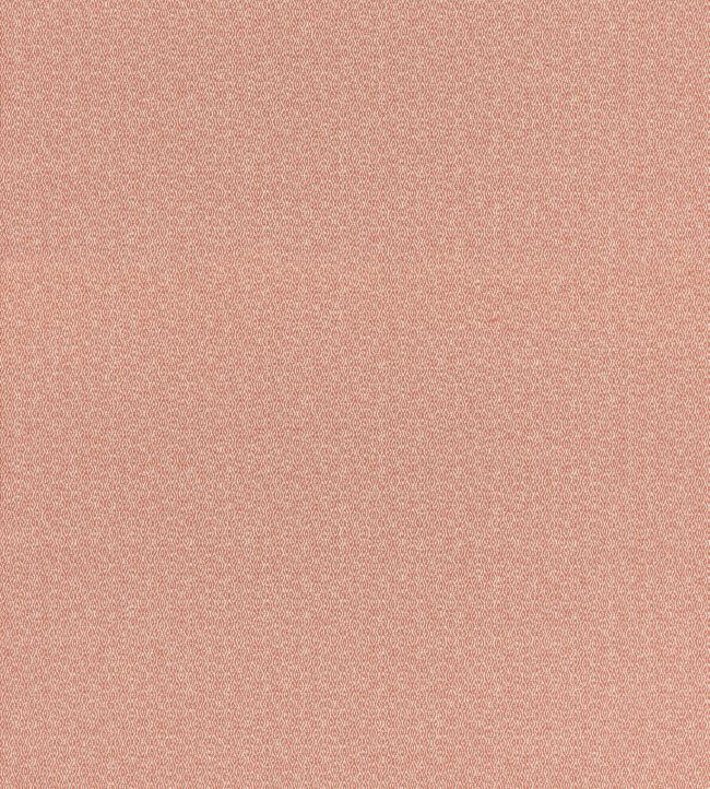 Morton Fabric by GP & J Baker Coral