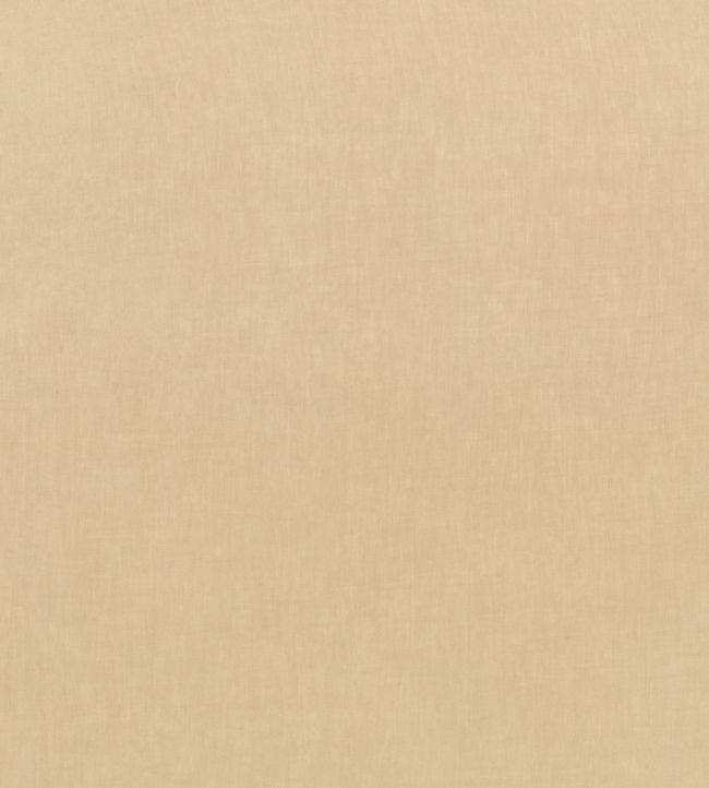Motion Fabric by Kirkby Design Desert