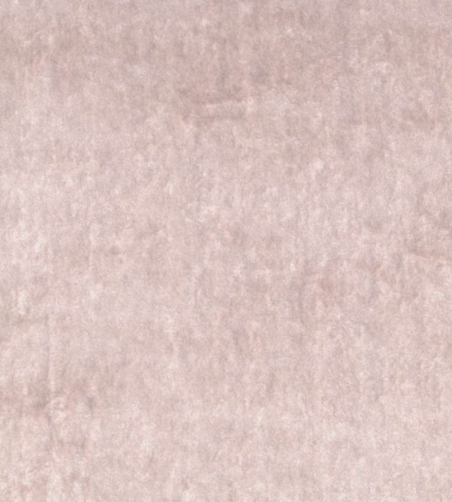 Musa Fabric by Black Edition Rose Quartz