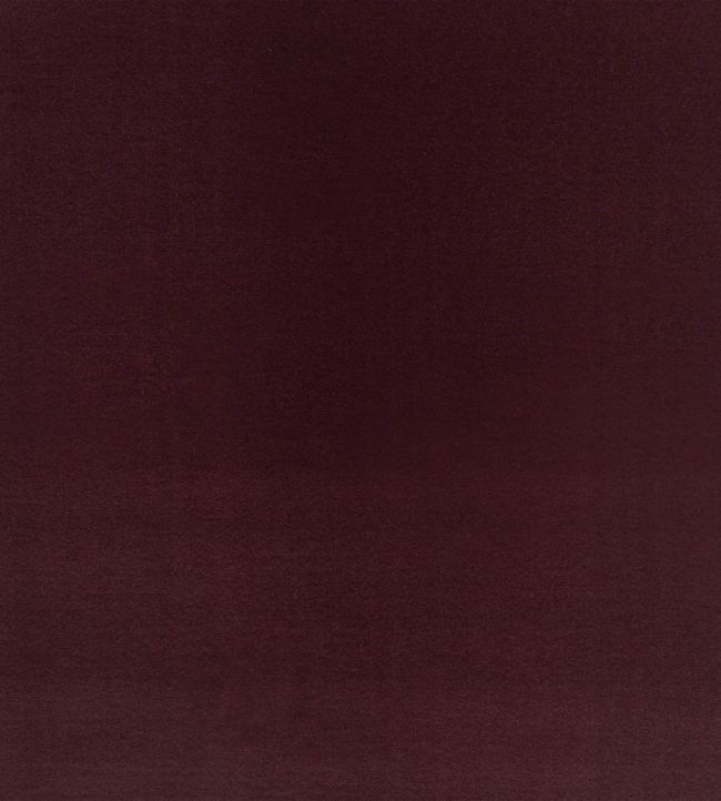 Myriis Fabric by Black Edition Medjool