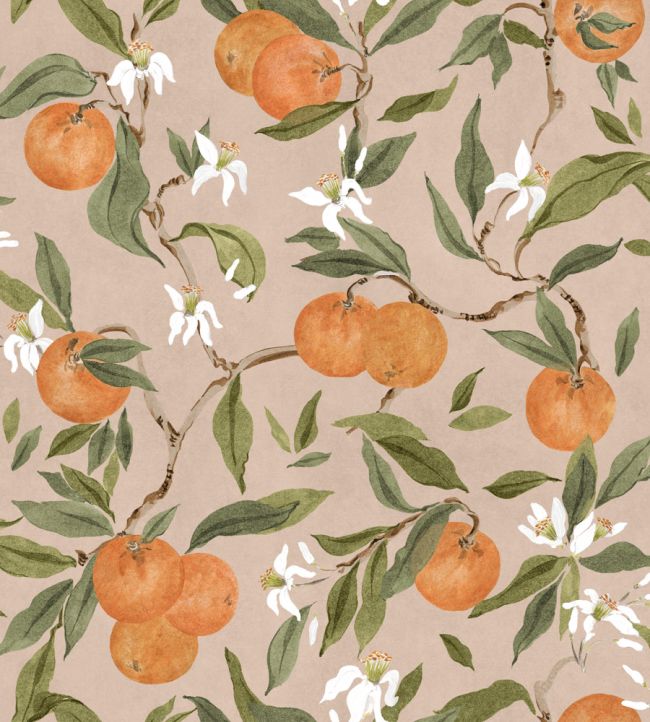Naranjos Wallpaper by Coordonne Rosado