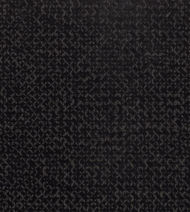 Nastie Fabric by Casamance Carbone