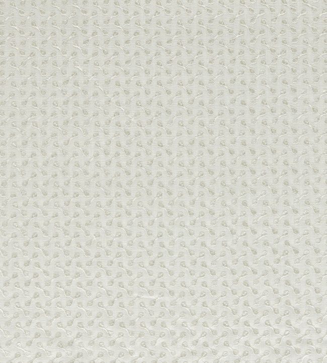 Necto Fabric by Clarke & Clarke Ivory