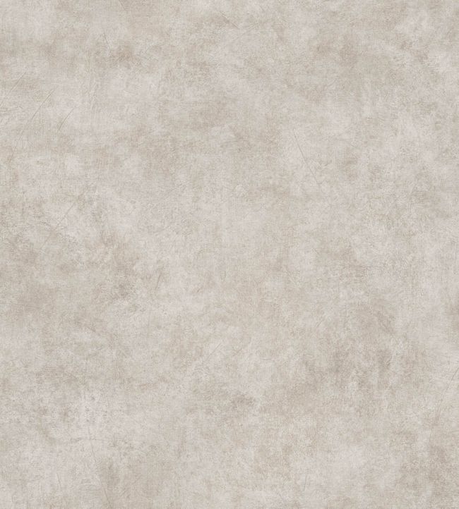 Nephele Wallpaper by Jannelli&Volpi Light Grey