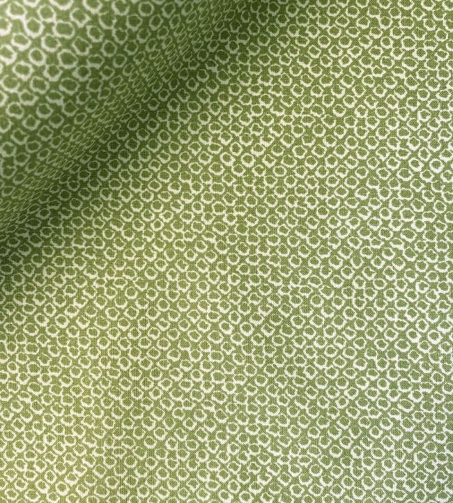 Nesta Fabric by Ian Sanderson Pear