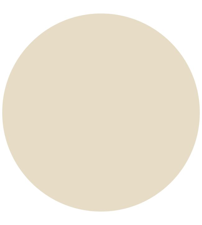 Neutral Water-Based Eggshell Paint by Sanderson Neutral