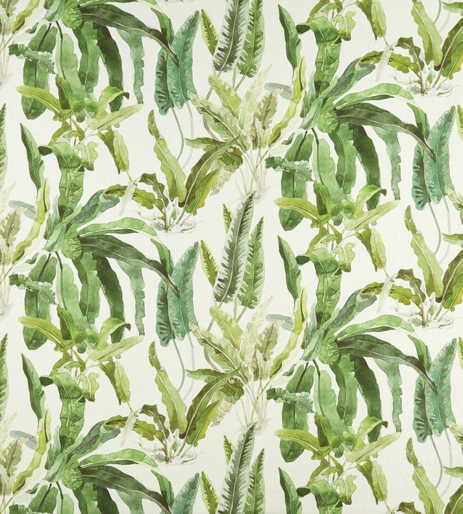 Benmore Fabric by Nina Campbell Green/Ivory