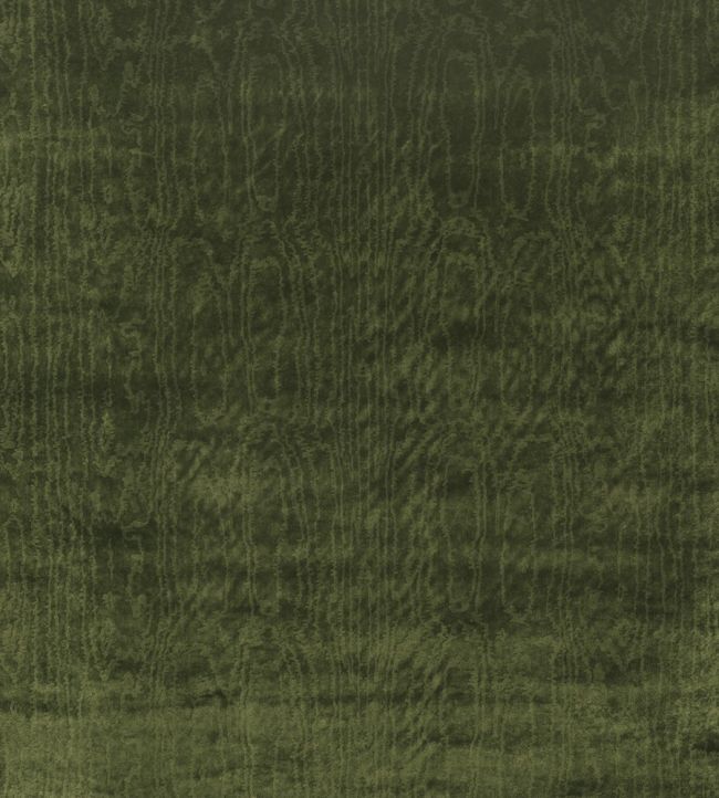 Cantabria Fabric by Nina Campbell Grass Green