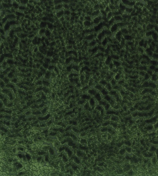 Lizong Fabric by Nina Campbell Emerald
