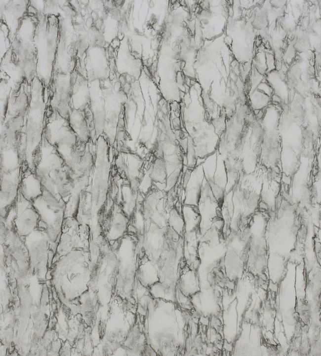 Kershaw Plain Wallpaper by Nina Campbell Black/Ivory