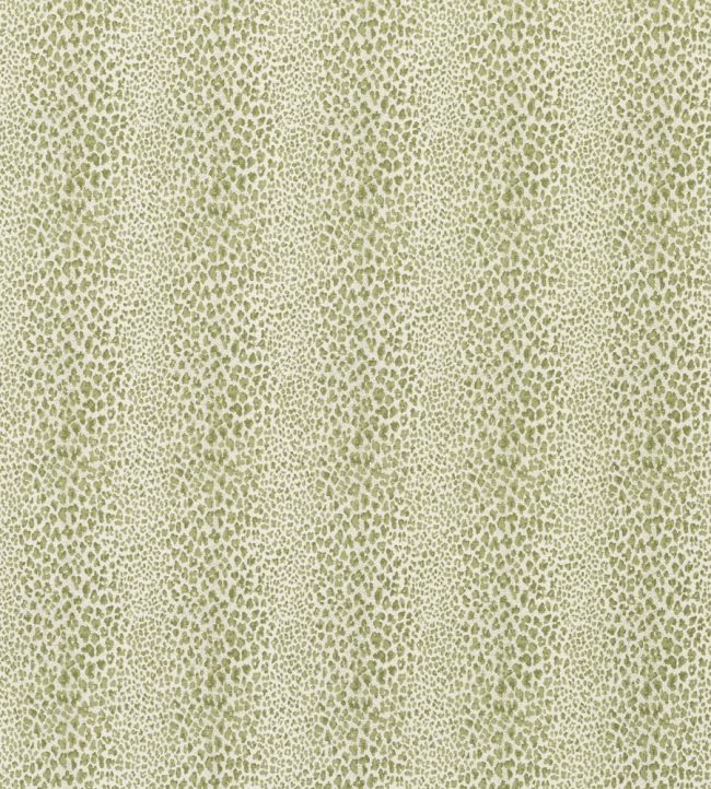 Bagatelle Weave Fabric by Nina Campbell Green/Ivory