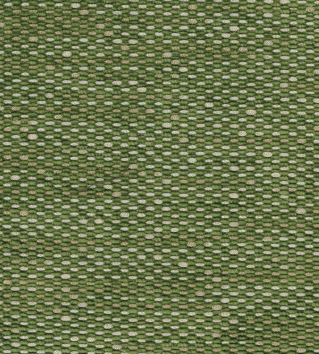 Tartuffe Fabric by Nina Campbell GREEN/SOFT GOLD