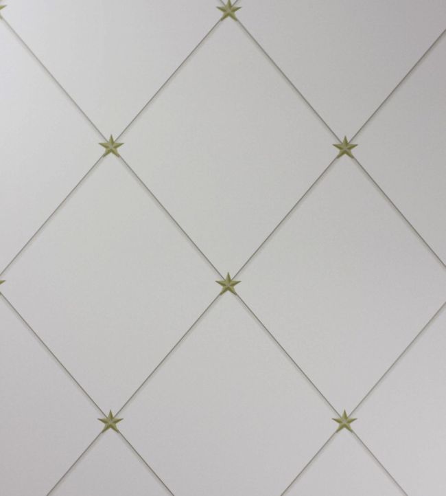 Torosay Wallpaper by Nina Campbell Gold, Taupe