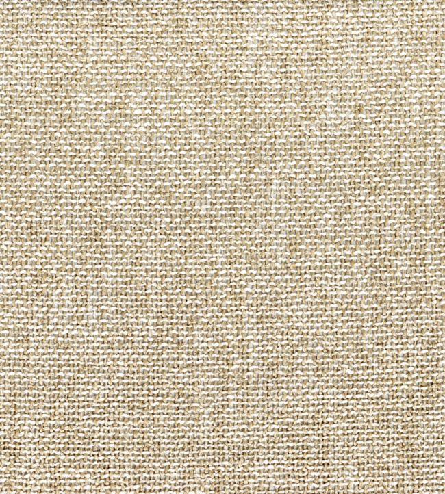 Nivalis Fabric by Casamance Beige