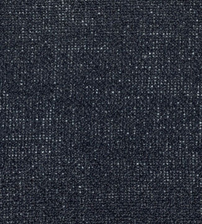 Nivalis Fabric by Casamance Carbone