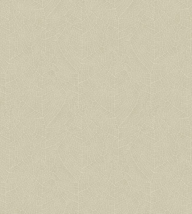 Nola Wallpaper by Casadeco Grege