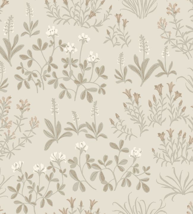 Noras Ang Wallpaper by Borastapeter Beige