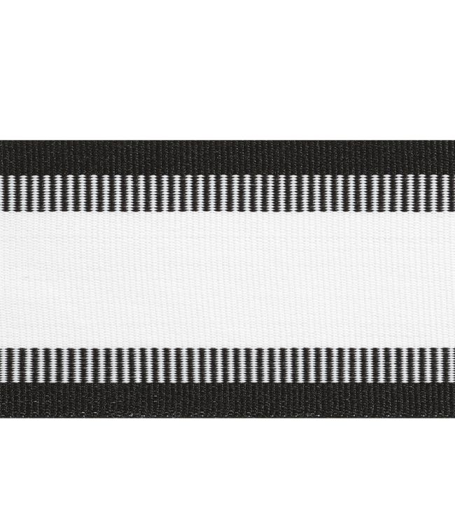 Nordia Tape Trimming by Thibaut Onyx