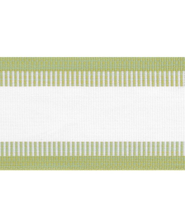 Nordia Tape Trimming by Thibaut Spring Green